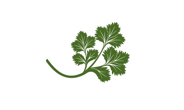 One result of agriculture as a cooking spice ingredient is coriander