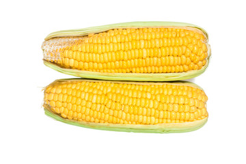 fresh corn  green leaves