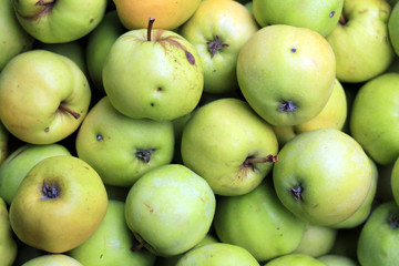 Фон зеленых яблок