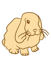 sweet little baby bunny bunny