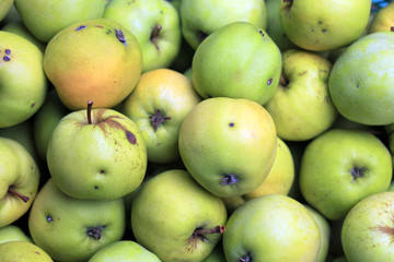 Фон зеленых яблок