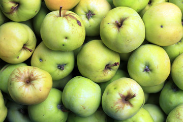 Фон зеленых яблок