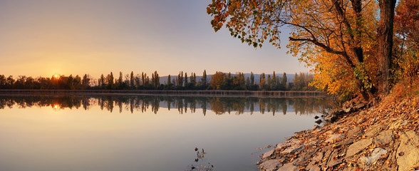 Lake at autumn with tree, Jursky Sur - obrazy, fototapety, plakaty