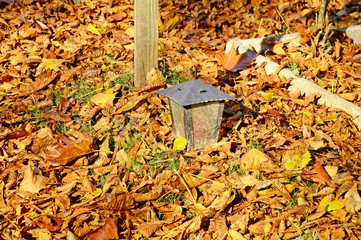 Grab mit Laterne und Herbstlaub