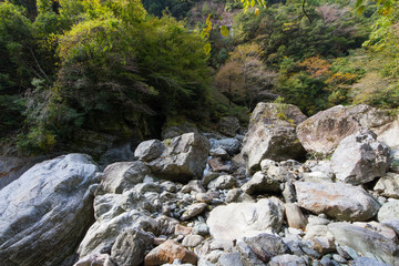 高知県仁淀川町　中津渓谷の風景