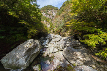 高知県仁淀川町　中津渓谷の風景