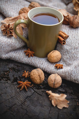 Cup of hot drink, knitting clothes, winter scarf on an old dry tree stump in the forest