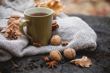 Cup of hot drink, knitting clothes, winter scarf on an old dry tree stump in the forest