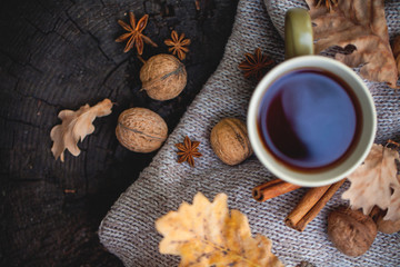 Cup of hot drink, knitting clothes, winter scarf on an old dry tree stump in the forest