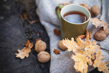 Cup of hot drink, knitting clothes, winter scarf on an old dry tree stump in the forest