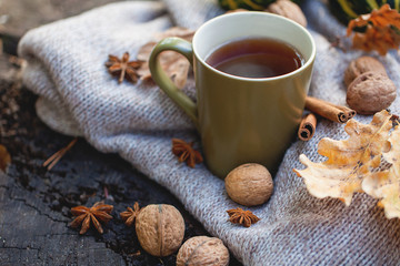 Cup of hot drink, knitting clothes, winter scarf on an old dry tree stump in the forest