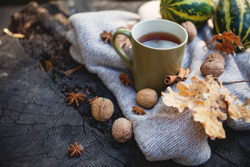 Cup of hot drink, knitting clothes, winter scarf on an old dry tree stump in the forest