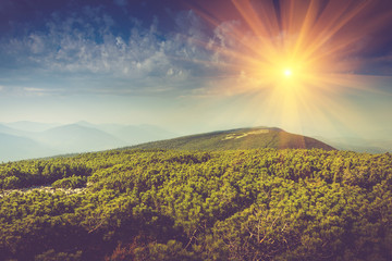 Mountains top covered by forest  and sky with clouds in sunlight.