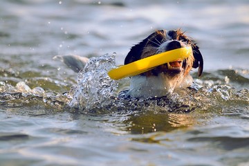 Fetching 