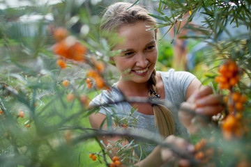 woman picking berries