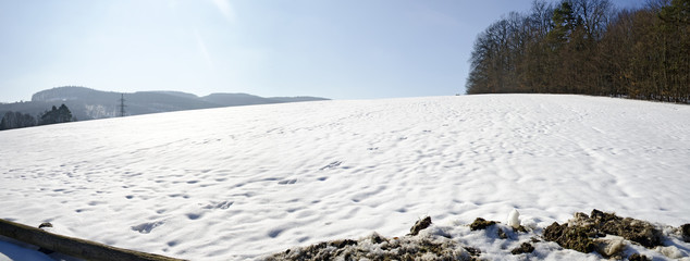 Frühlingsschnee auf einer Wiese