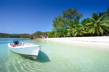 wooden boat on the beach with palms