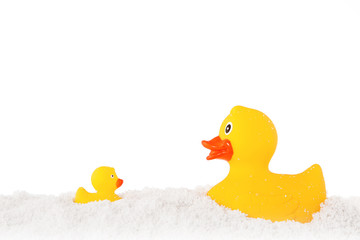 Yellow duck and ducky family and powder isolated on white