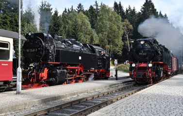 Fototapeta premium Kolej wąskotorowa Harz