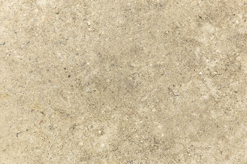 Closeup View of Ground Texture
