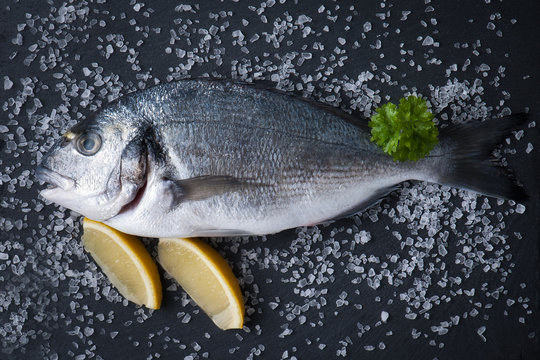 fresh raw dorado fish with spices and herbs on black background, top view