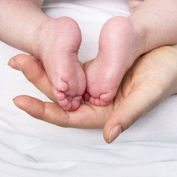 Baby Feet / Baby feet in mother's hand