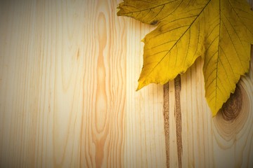 Autumn leaf on wooden background 
