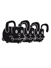 party motif pattern design 3 bunny cool funny