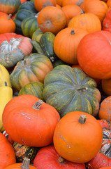 Read, orange and green pumpkins