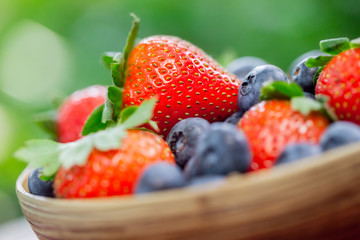 Bowl of Strawberries and Blueberries