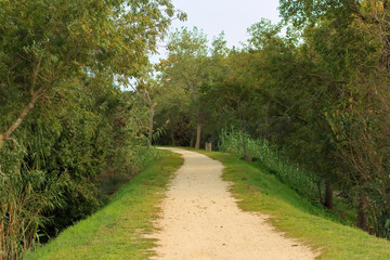 Deserted gravel hiking path among ambient greenery