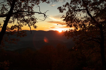 Naklejka premium Tramonto nel bosco
