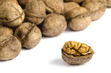 Walnuts on white background with shadow