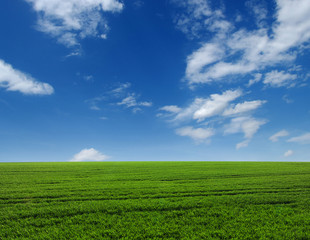 green field