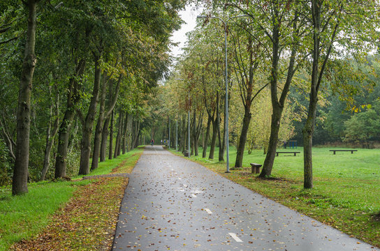 Alley with fallen leaves in autumn park