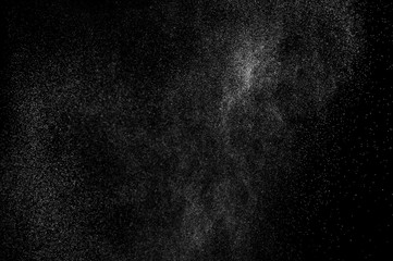 abstract splashes of water on a black background. splashes of milk. abstract spray of water. abstract rain. shower water drops.  white dust explosion. abstract texture. abstract black background.