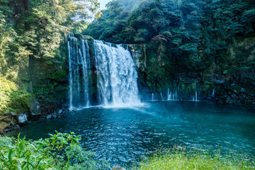 Sacred waterfall in Japan surrounded by lush evergreen forest