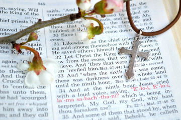 Mark 15:34 Good Friday background