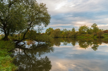 Obraz premium Early morning view of calm lake surrounded by trees