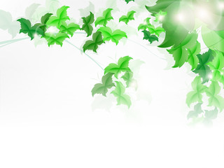 Background with fresh green leaves