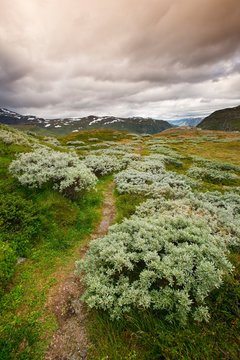 Landschaft im Jotunheimen Nationalpark

