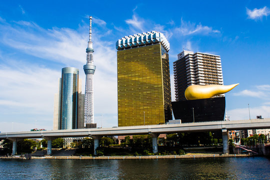 Skyline of Tokyo with the skytree tower.