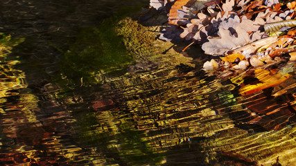 fallen leaves in the river from the Stone golden autumn backgrou