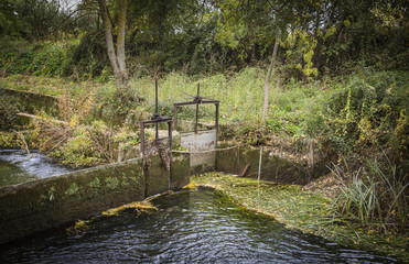 Obraz premium Dam in an irrigation watercourse channel in the woods