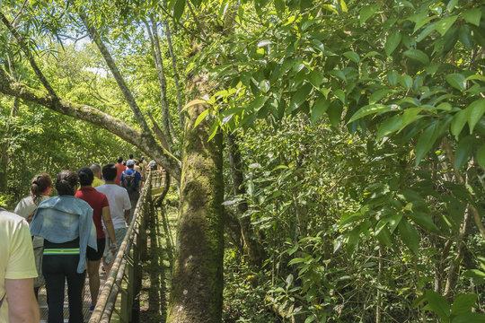 People Walking Along a Path at Iguazu Park