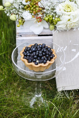 Cupcake with blueberries