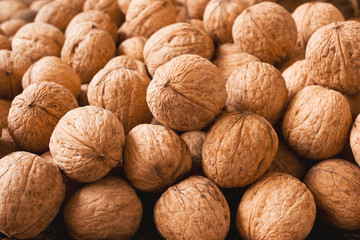 Rich harvest of walnuts