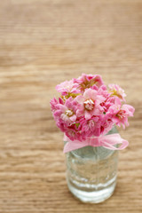 Beautiful tiny bouquet of pink kalanchoe blossfeldiana flowers o