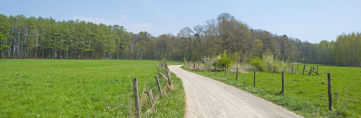 Dirt road through a meadow in sunlight in spring 