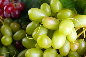 White and red grape close up